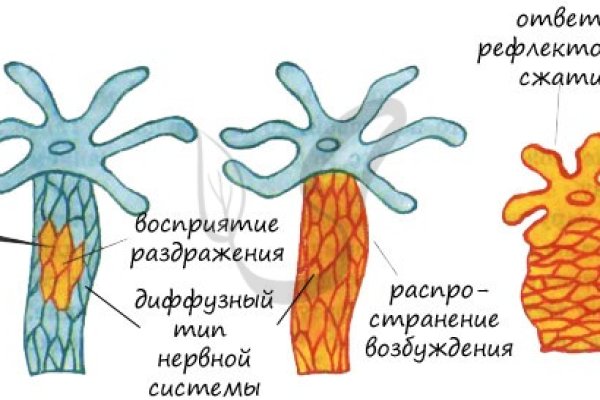 Кракен нет