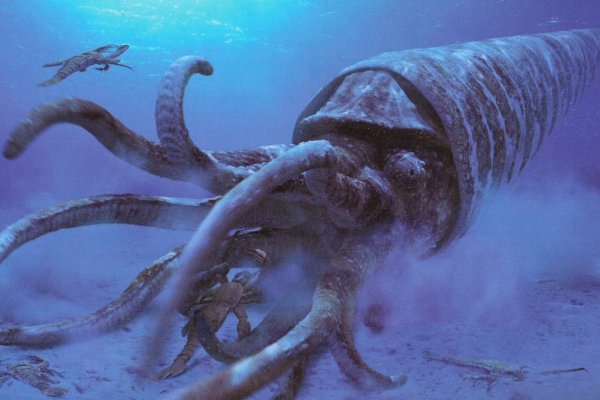 Кракен магазин kraken014 com